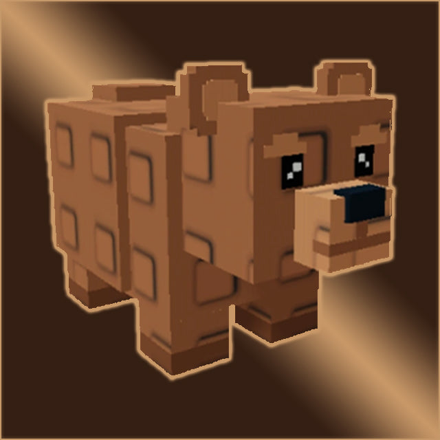 Bear